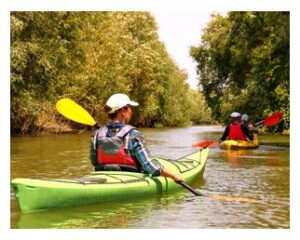 Canoeing in the river with friends