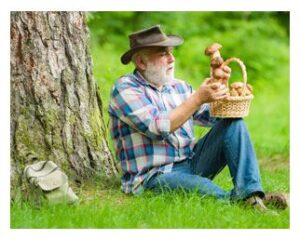 Man foraging mushrooms