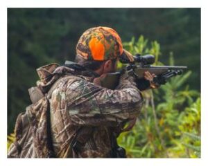 Hunting - Pigeon River Country State Forest