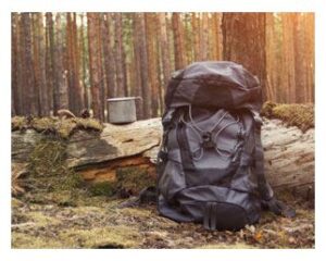 Backpack leaning against a log