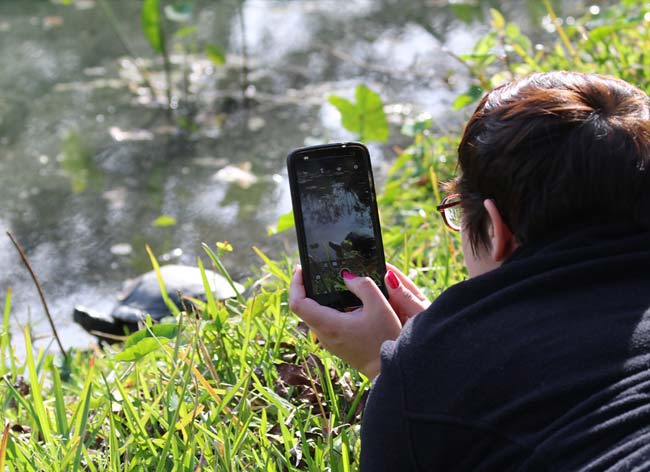 Explore iNaturalist Event