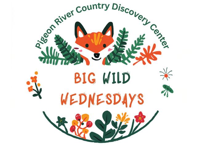Big Wild Wednesdays